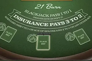Illustration du jeu 21 Burn Blackjack