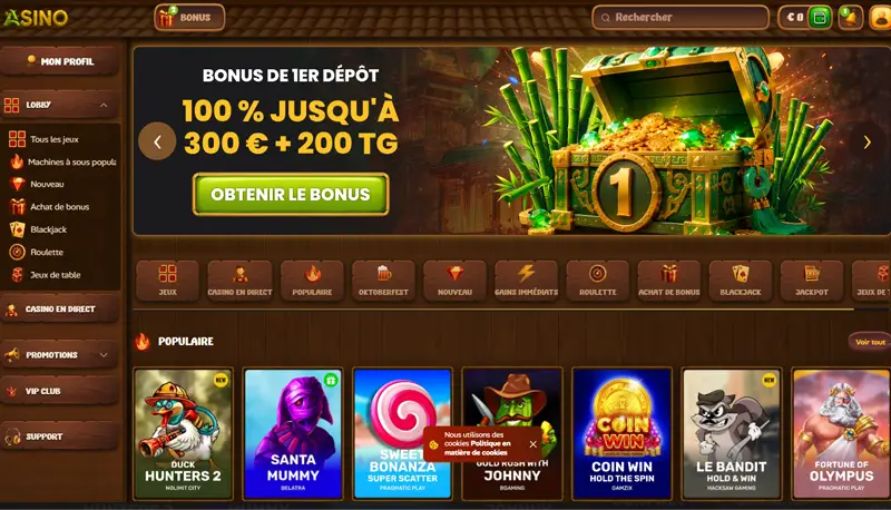 page d'accueil de Asino