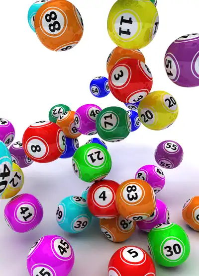 Bingo